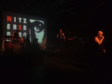 tags: Nitzer Ebb, Hamburg, Hamburg, Germany, Markthalle - Nitzer Ebb / SIIE on Mar 14, 2026 [154-small]