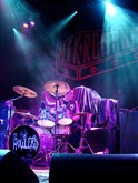 The Howlers, tags: The Howlers, Anaheim, California, United States, House of Blues Anaheim - Nekromantix / The Brains / The Howlers / Bamboula on Aug 12, 2011 [388-small]