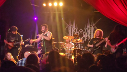 Defeated Sanity / Inferi / Organectomy / EXCRESCENE on Apr 22, 2026 [417-small]