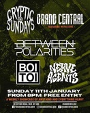 Nerve Agents / Between Polarities / Boi Toi on Jan 11, 2026 [420-small]