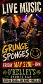 Grunge Sponges on May 22, 2026 [102-small]