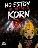 Korn / Spiritbox on May 19, 2026 [957-small]