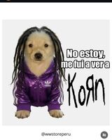 Korn / Spiritbox on May 19, 2026 [973-small]