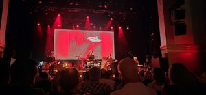 The Wallflowers / Lost Leaders on May 19, 2026 [142-small]