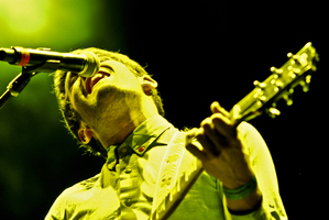 Indio Emergente on Nov 23, 2012 [334-small]