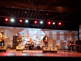 The Jayhawks on Aug 8, 2021 [698-small]