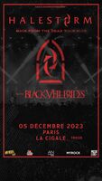 Halestorm / Black Veil Brides / Mothica on Dec 5, 2023 [673-small]