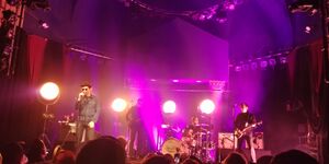 Eels / The Inspector Cluzo on Apr 27, 2019 [822-small]