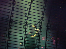 Nine Inch Nails / Bauhouse on May 31, 2006 [634-small]