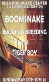 Tiger Boy / Buildings Breeding / Boomsnake on May 17, 2009 [147-small]