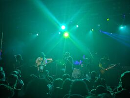tags: Narrow Head - Turnover / Narrow Head / she’s green on Jun 4, 2026 [313-small]