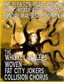Fat City Jokers / Collision Chorus / Woven / The Whiskey Wailers on May 31, 2009 [385-small]