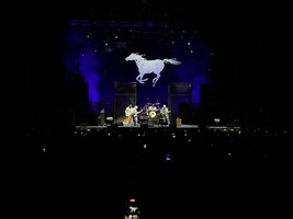 Neil Young & Crazy Horse / Neil Young / Reverend Billy and the Church of Stop Shopping on May 11, 2024 [124-small]