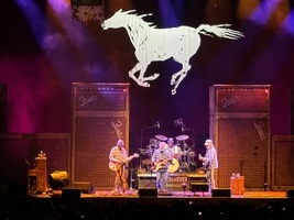 Neil Young & Crazy Horse / Neil Young / Reverend Billy and the Church of Stop Shopping on May 11, 2024 [126-small]