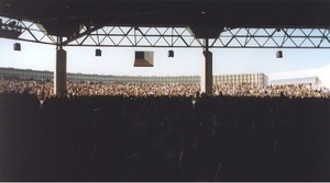 Ozzfest 1997 on Jun 1, 1997 [585-small]