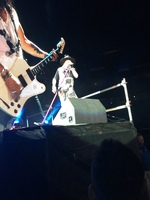 Guns N' Roses / Lenny Kravitz on Jul 20, 2016 [370-small]