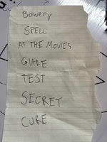 Joyer setlist - 1/24/26, Been Stellar / Golden Apples / Joyer / Sharp Pins / Widowspeak / Victoryland / Holidays In United States on Jan 24, 2026 [708-small]