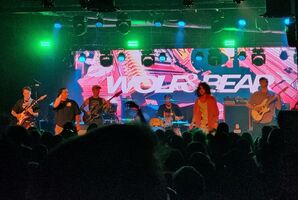 Eidola / Royal Coda / Wolf & Bear / Sani Bronco on Jun 27, 2024 [732-small]