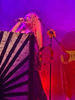 The Heavy Heavy / Judy Blank on Jun 13, 2025 [792-small]