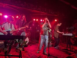 Cult Radio / Dirty Holly / Bloom after fall on Jul 4, 2026 [901-small]