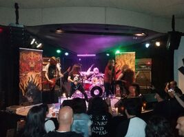 Misanthropy, tags: Misanthropy, Portugalete, Basque Country, Spain, Groove Studios - Misanthropy / Pandemia on Feb 22, 2020 [469-small]