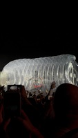 Katy Perry / JESSIE MURPH / Miki / Luiza on Jul 3, 2026 [083-small]