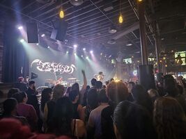 Nightlife, Honey Revenge / Nightlife / Wolf & Bear / Vana on May 26, 2025 [593-small]