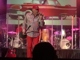 The Beach Boys / America on Jul 29, 2014 [415-small]