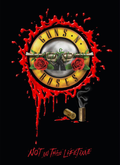 Guns N' Roses on Jul 30, 2017 [814-small]