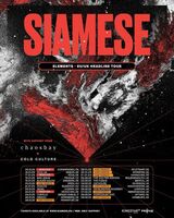 Siamese / Black Gold / Chaosbay / Cold culture on Jan 26, 2025 [606-small]