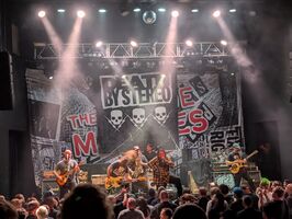The Bouncing Souls / Death by Stereo / The Drowns / The Suicide Machines on Jul 10, 2026 [085-small]