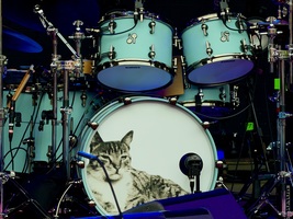 Wilco on Jul 9, 2026 [849-small]