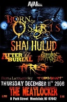 Born of Osiris / Shai Hulud / After the Burial / Burning the Masses on Dec 11, 2008 [367-small]