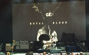 Royal Blood / Foo Fighters on Aug 19, 2015 [501-small]