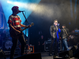 The Damned / Doctor & The Medics / The Fleshtones on Dec 4, 2024 [337-small]