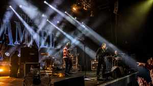 The Damned / Doctor & The Medics / The Fleshtones on Dec 4, 2024 [341-small]