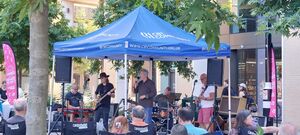 Split Whiskers, Tom Dulieu / Split Whiskers on Jul 16, 2026 [071-small]