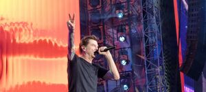 Die Toten Hosen / The Undertones / Antilopen Gang on Jul 17, 2026 [534-small]