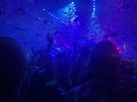 Tame Impala on May 24, 2022 [499-small]
