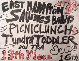 The Big Why / Easthampton Savings Band / Picniclunch / Tundra Toddler on Jun 16, 2017 [915-small]
