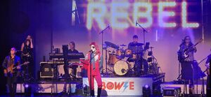 Bowie Experience on Jul 21, 2026 [950-small]
