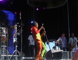 Charles Bradley & His Extraordinaires / Antibalas on Jul 22, 2015 [010-small]