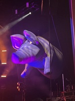 Brit Floyd (Tribute to Pink Floyd) on Jul 24, 2026 [403-small]
