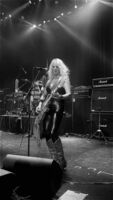 Great White / Vixen on Jul 18, 2026 [183-small]
