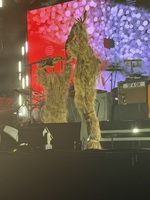 Super Furry Animals / Gwenno / Getdown Services on Jun 24, 2026 [899-small]