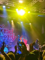 New Found Glory / Sincere Engineer on Oct 22, 2024 [315-small]