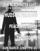 Peaceable Jones / The Stouts / Hudson Falcons on Mar 22, 2009 [983-small]