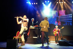 Jethro Tull / Ian Anderson on Nov 28, 2012 [785-small]