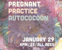 Practice / Autococoon / Pregnant on Jul 24, 2014 [954-small]