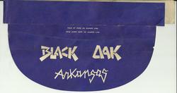 Black Oak Arkansas  / The James gang / JoJo Gunne / Brownsville Station on Jul 4, 1973 [298-small]